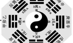 911八卦最新爆料图片,最新爆料图片曝光，惊人内幕一触即发！